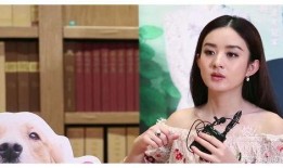 卓伟曾爆料过哪些娱乐圈大瓜,卓伟爆料揭秘那些不为人知的幕后故事